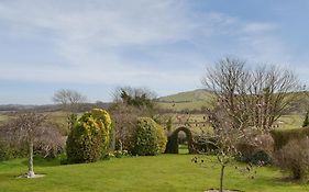 Moles Leap
